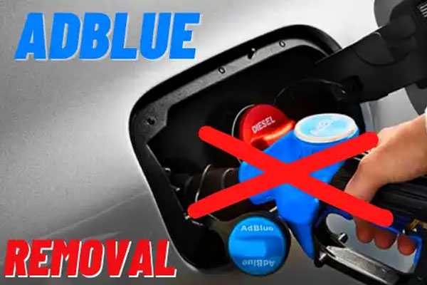 AdBlue Delete / Removal