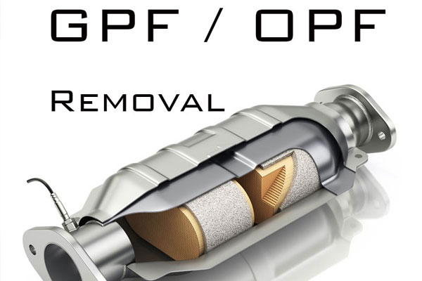 GPF/OPS Delete