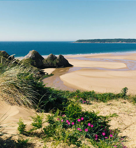 Swansea and the Gower